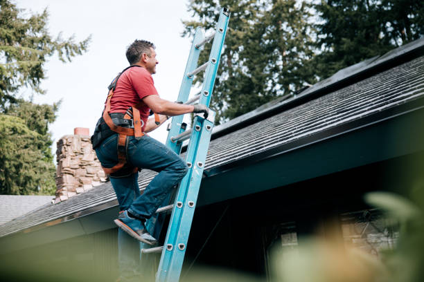 Best Gutter Installation and Repair  in Dolgeville, NY